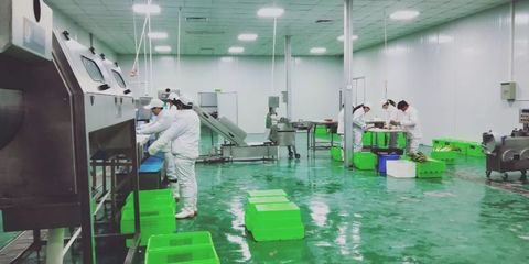 電商時代下，涇陽傳統蔬菜企業的變革與創新之路